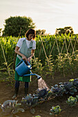 Woman watering vegetable garden