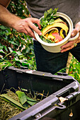 Mature man discarding kitchen scraps on compost pile