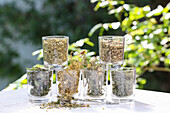 Various dried herbs in jars (for fasting and detoxing)