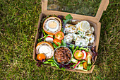 Picnic with potato salad, scotch egg and vegetable salad