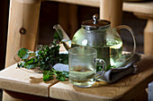 Barbara herb tea (for heartburn)