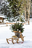 Winterstrauß mit Juteband im Blecheimer auf Schlitten im Schnee