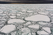 Melting sea ice on the Arctic Ocean