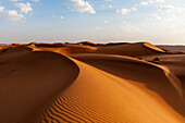 Desert landscape