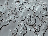Mars' polar cap, MRO image