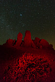 Roque de los Muchachos at night under a starry sky