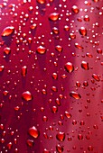 Rain droplets on a red car