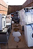 Domestic white goods recycling