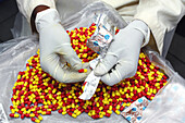 Pharmaceutical worker unpacking unwanted drugs capsules