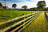 Fence on a farm