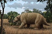 Giant ground sloth, illustration