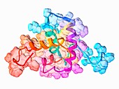 Human T-cell Leukaemia virus 1 protein, molecular model