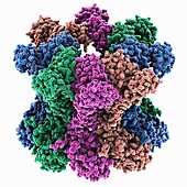Transmembrane protein Wzc, molecular model