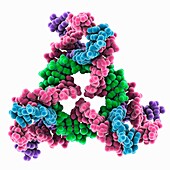 Self-assembled 3D DNA triangle, molecular model