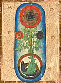 The Flower of Wisdom, 15th century illustration