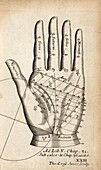 Palmistry chart of left hand, illustration