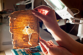 Restorer working on a deteriorated book