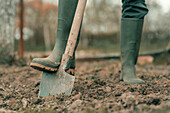 Farmer in rubber boots using spade