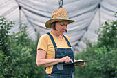 Farmer using tablet computer in apple orchard