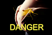 Danger of Zika virus in pregnancy, conceptual image
