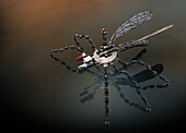 Insect spy drone, conceptual illustration