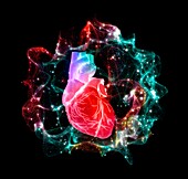 Human heart with energy field, illustration