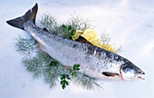 Fresh salmon with dill and lemon