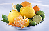 Bowl with various citrus fruits