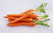 Fresh carrots with carrot tops