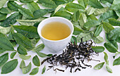 Green tea (Pouchong, Formosa) and fresh tea leaves