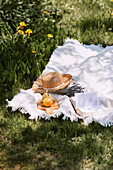 Picknickdecke mit femininen Accessoires auf grüner Wiese