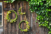 DIY flower wreaths made of wildflowers on a wooden wall next to ivy