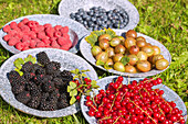 Red currants, blackberries, gooseberries, raspberries and blueberries