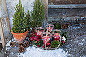 Adventskranz mit Windlichtern, Moos und roten Äpfeln in Vintage Schale im Freien
