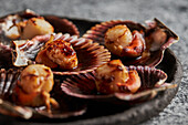 Roasted scallops with shells