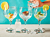 Gin with various fruits