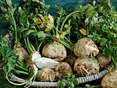 Celeriac, whole and quartered in a basket