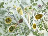 Various salad dressings with herbs on spoons