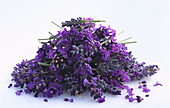 A heap of lavender flowers, on a light background