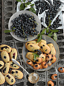 Madeleines with blueberries