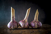 Three fresh purple bulbs of garlic on wooden table