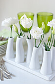 White flowers in white vases