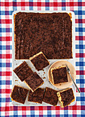 Grandma's ant cake cut into squares