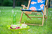 Tray with rice pudding and cherries on meadow in front of deck chair