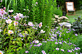Flowering garden with pink anemone and deckchair in the background