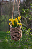 Blumenampel im Frühlingsgarten