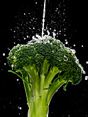 Broccoli being rinsed in water