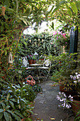 Dichtbewachsener Innenhof-Garten mit Gartentisch und Stühlen aus Metall
