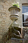 Stone gargoyle with urn in Arundel, West Sussex