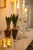 Lit candle and crocuses on shelf Copenhagen